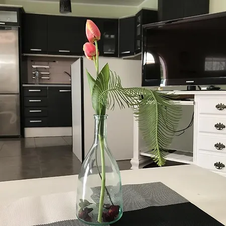 Bungalow Los Agaves Apartment